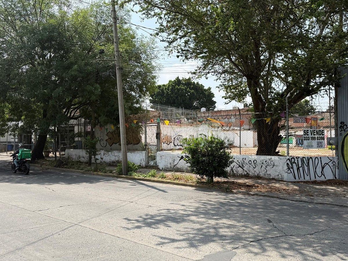 Lote em Olímpica, Guadalajara, foto 6 de 14