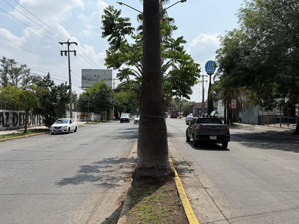 Lote em Olímpica, Guadalajara, foto 9 de 14