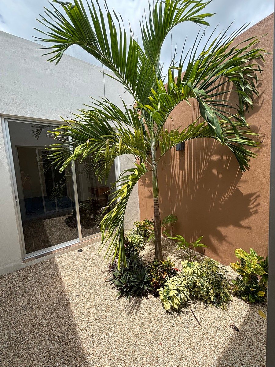 House in Gated Community in Temozón Norte, Mérida, photo 4 of 16