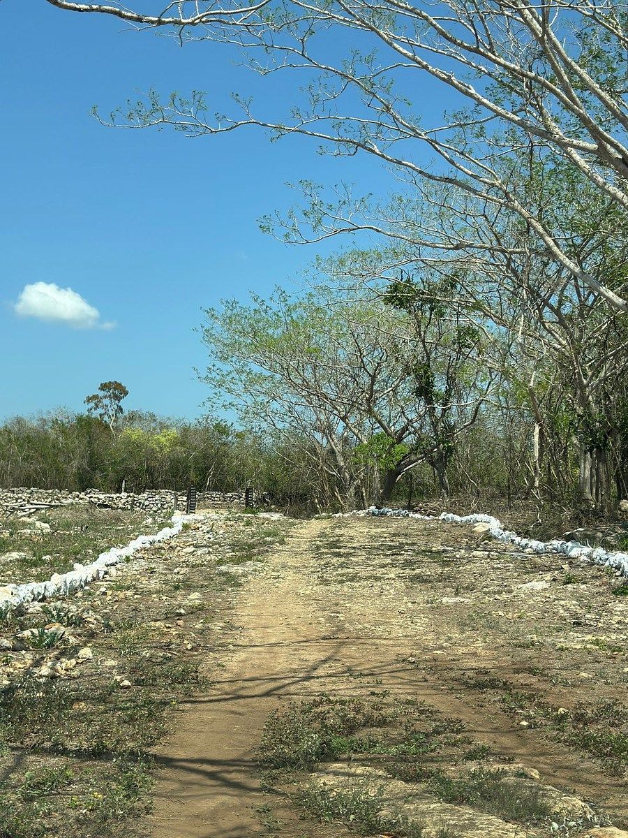 Rancho en Tixkuncheil, Baca, foto 18 de 20
