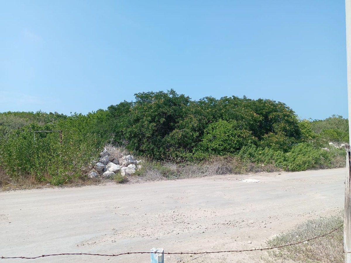 Lote em Sisal, Hunucmá, foto 7 de 7