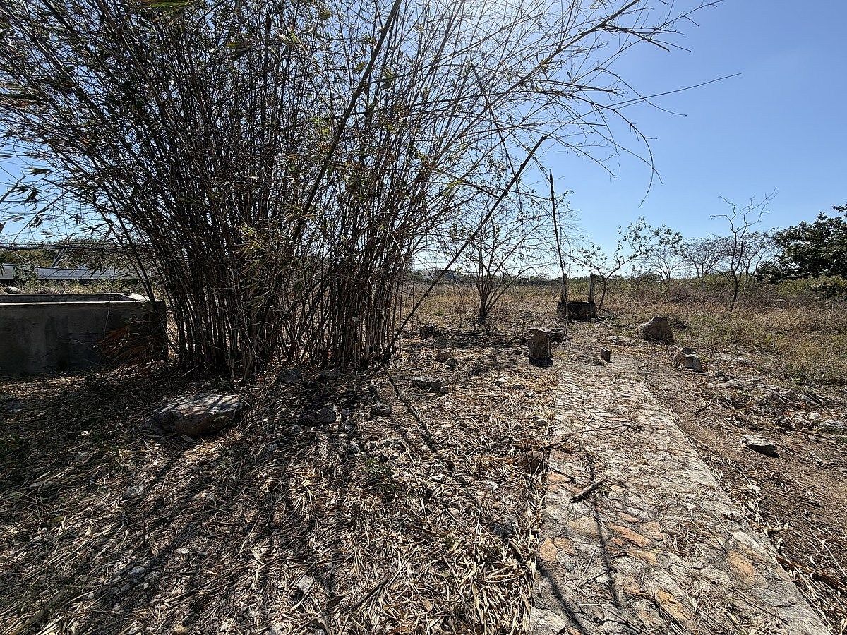 Lote em Chichi Suárez, Mérida, foto 6 de 8