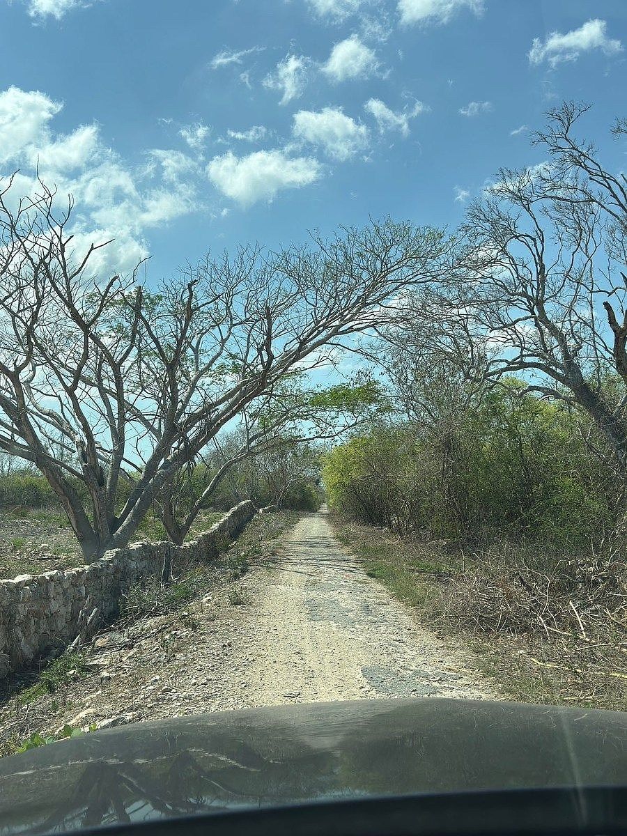 Rancho en Tixkuncheil, Baca, foto 16 de 20
