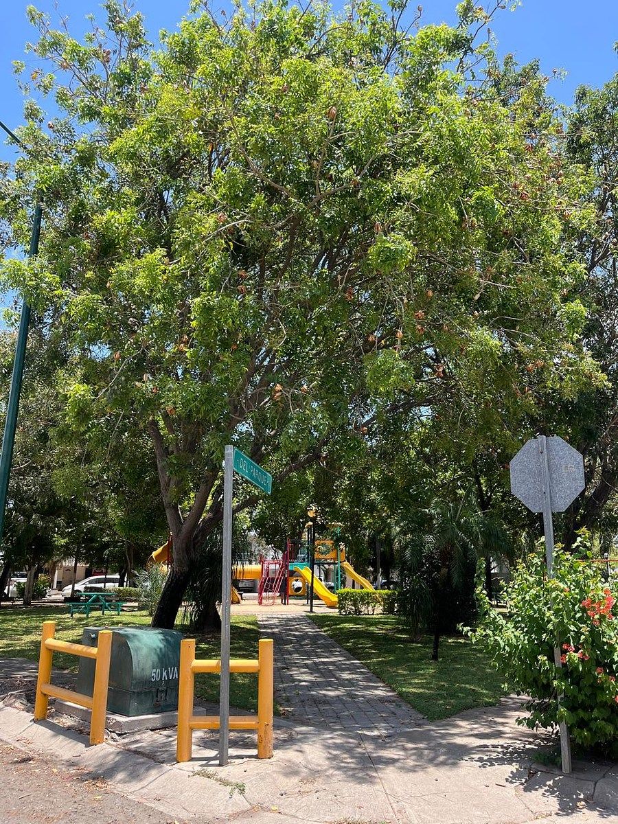 Casa em Santa Aynes, Culiacán, foto 10 de 10