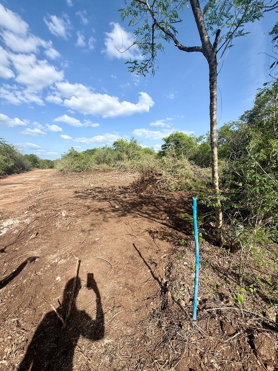 Lote em Sierra Papacal, Mérida, foto 2 de 4