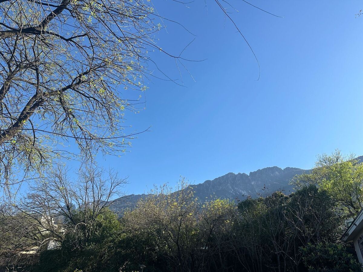 TERRENO EN VENTA EN HACIENDA EL ROSARIO SAN PEDRO GARZA GARCIA, foto 1 de 3