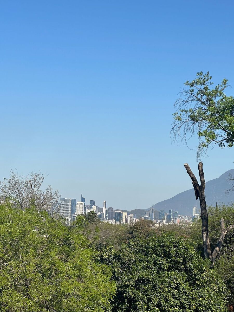 Terreno en Hacienda El Rosario, San Pedro Garza García, foto 2 de 3
