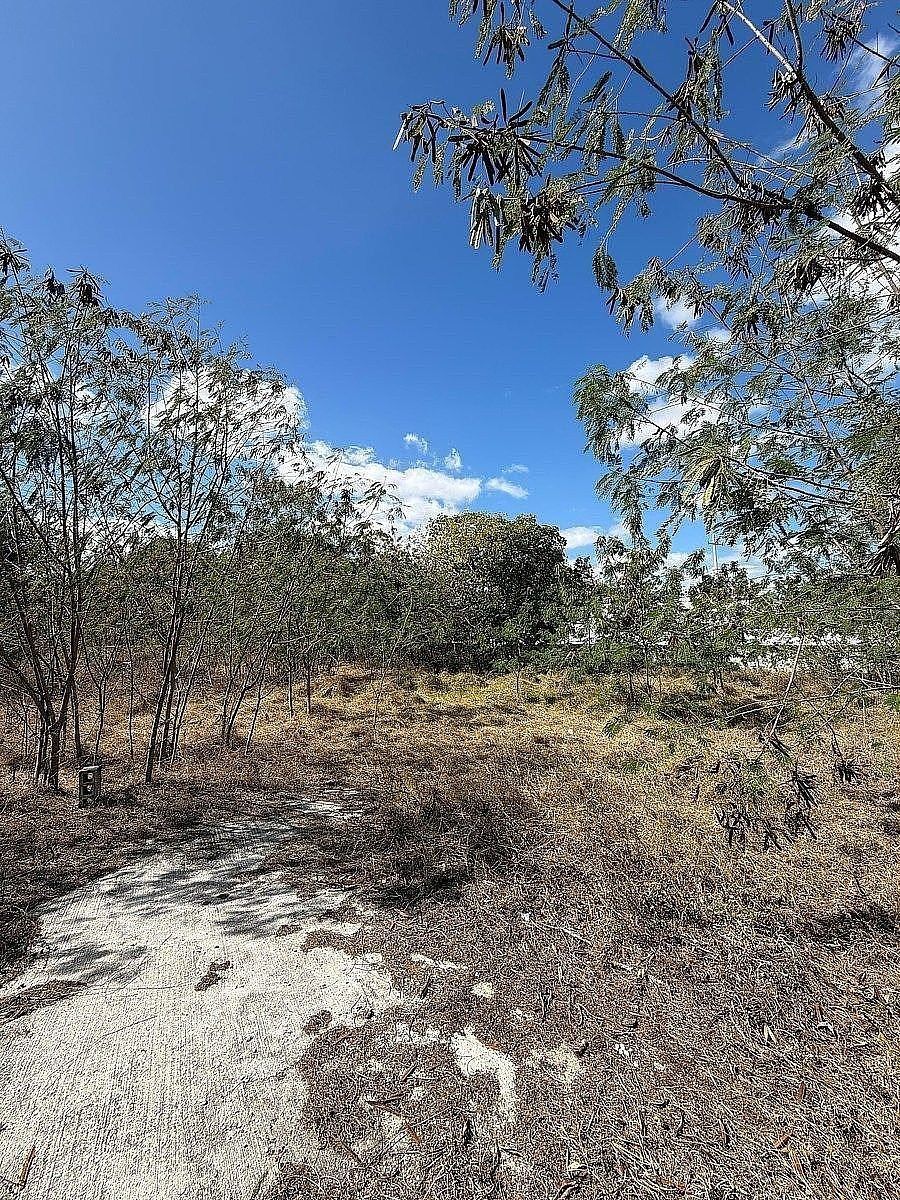 Terreno en Itzimna, Mérida, foto 7 de 8