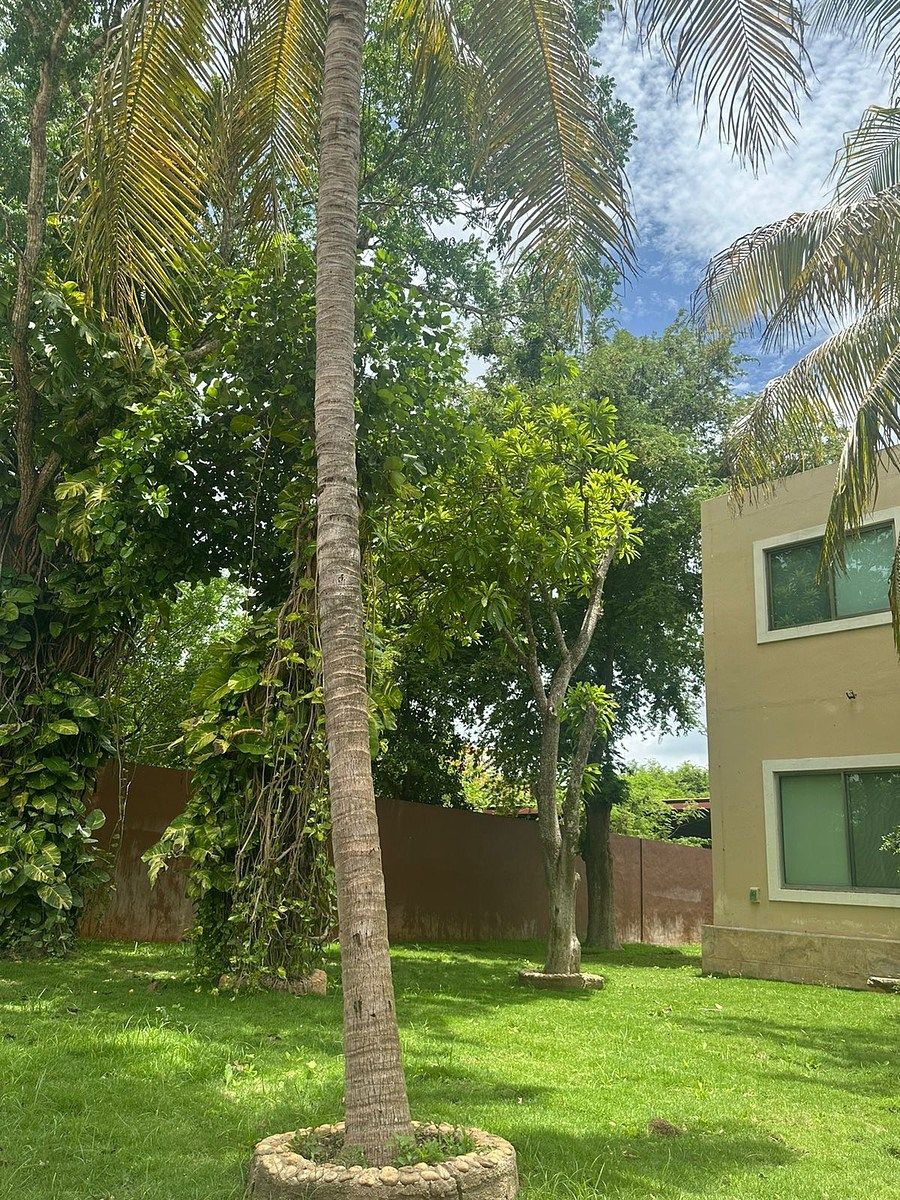 Casa en Dzityá, Mérida, foto 29 de 50
