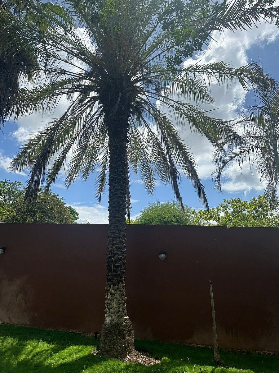 Casa en Dzityá, Mérida, foto 32 de 50