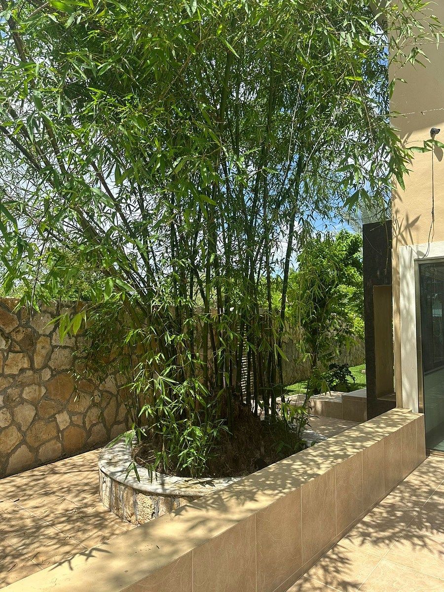 Casa en Dzityá, Mérida, foto 33 de 50