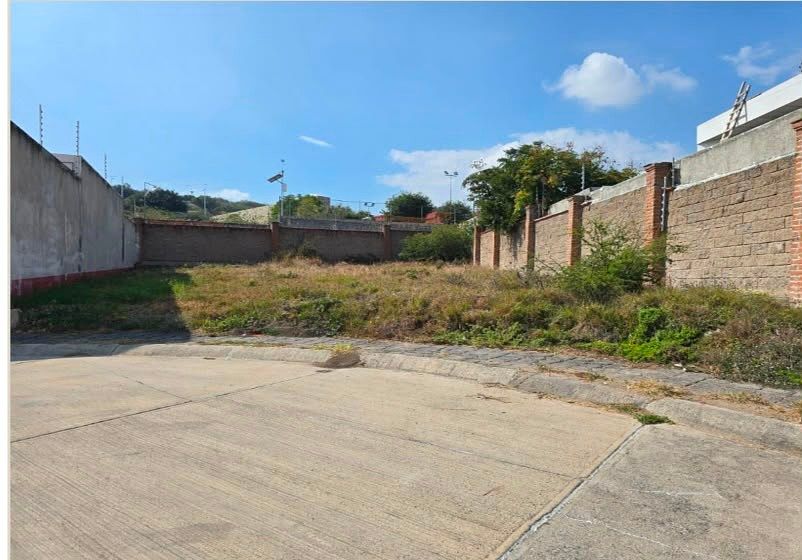 Terreno en Venta en Jardines del campestre, zona norte, foto 1 de 7