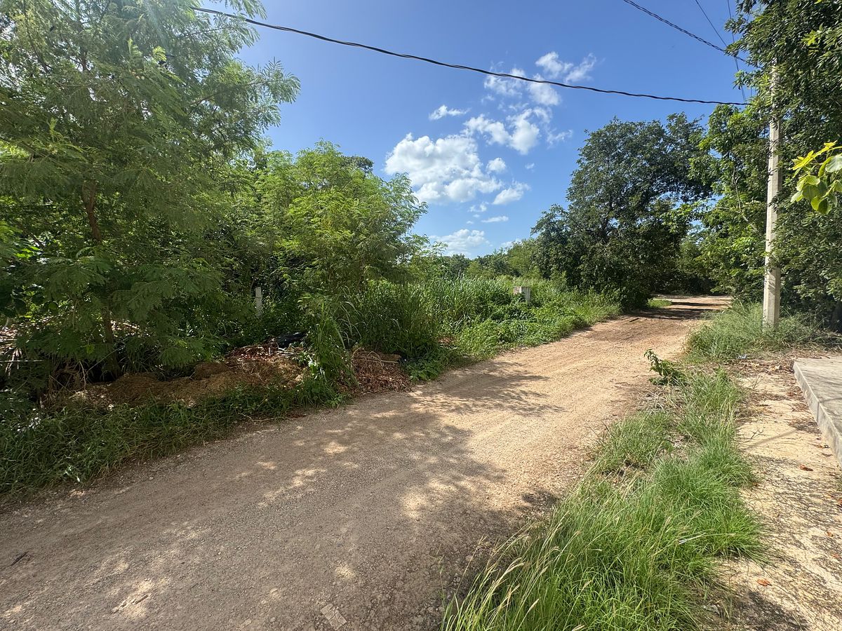 Lot in Tixcuytún, Mérida, photo 15 of 17