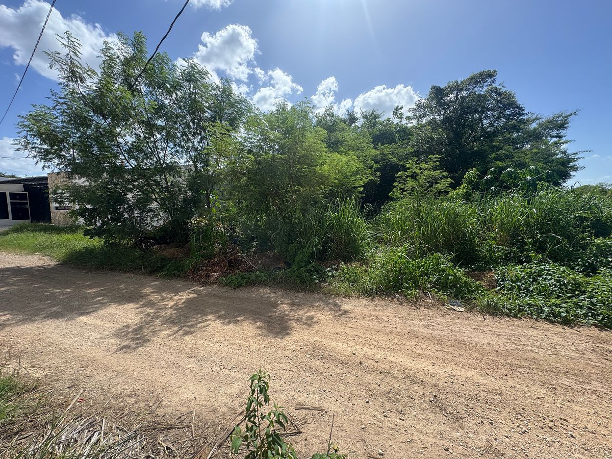 Lot in Tixcuytún, Mérida, photo 16 of 17
