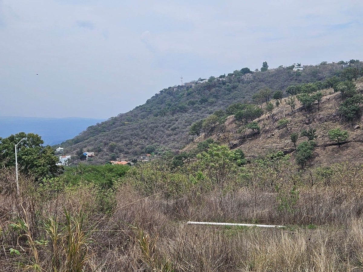 Lote em Las Cañadas, Zapopan, foto 3 de 8