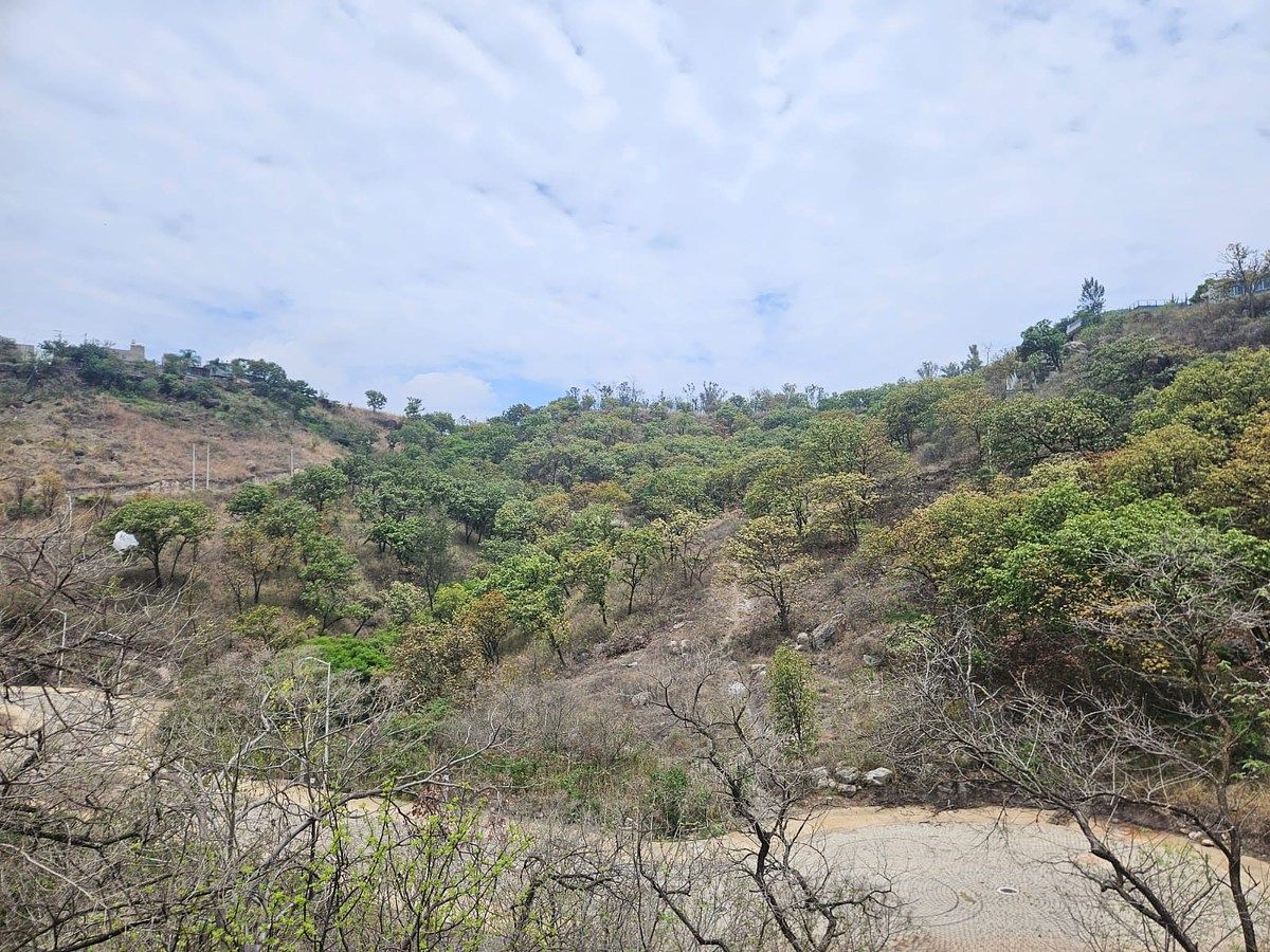 Lote em Las Cañadas, Zapopan, foto 5 de 8