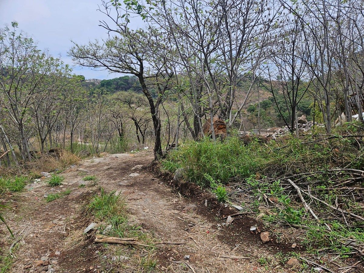 Lote em Las Cañadas, Zapopan, foto 6 de 8