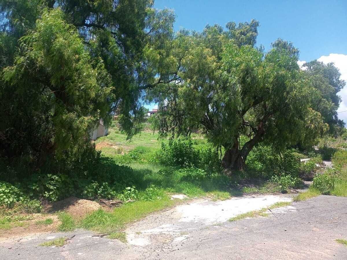 Terreno en Acozac, Ixtapaluca, foto 4 de 39