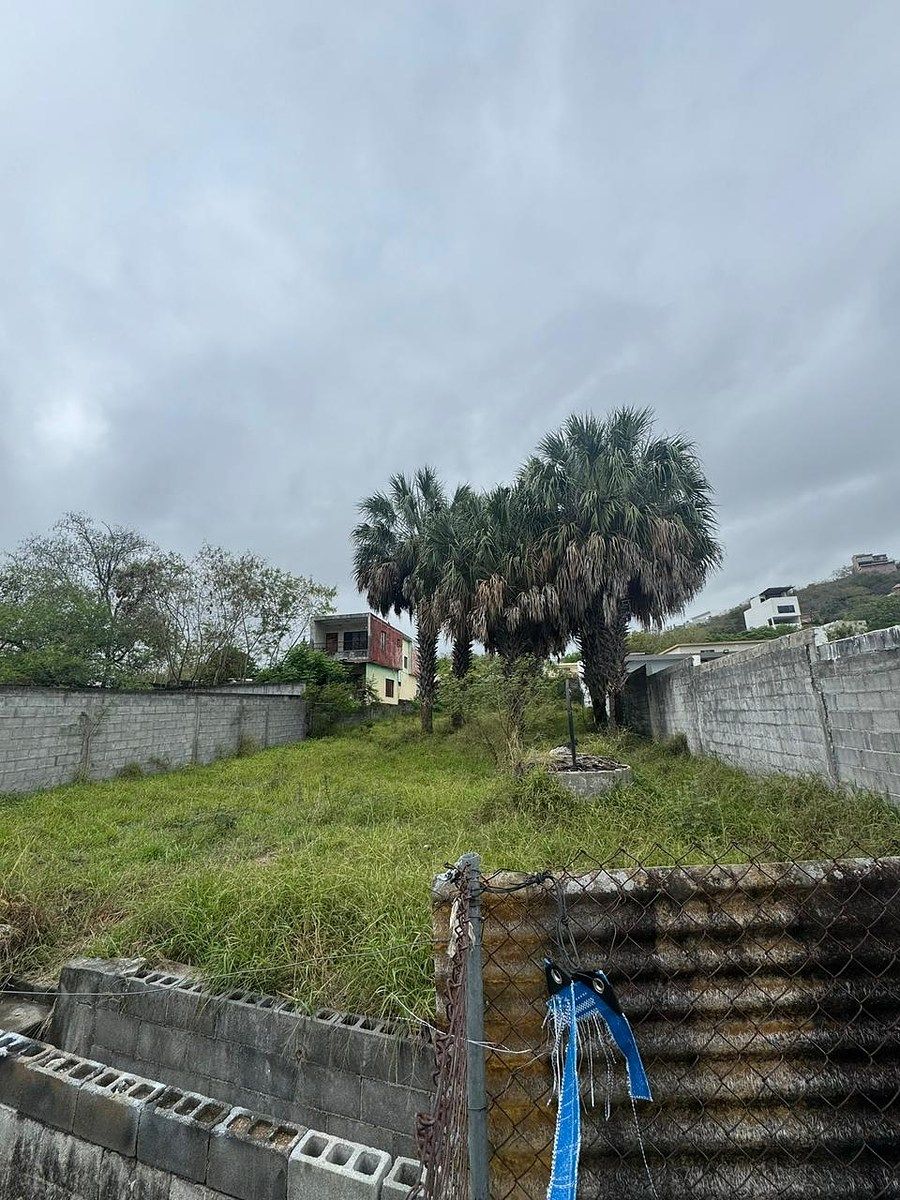 Lote comercial em El Cercado Centro, Santiago, foto 5 de 5
