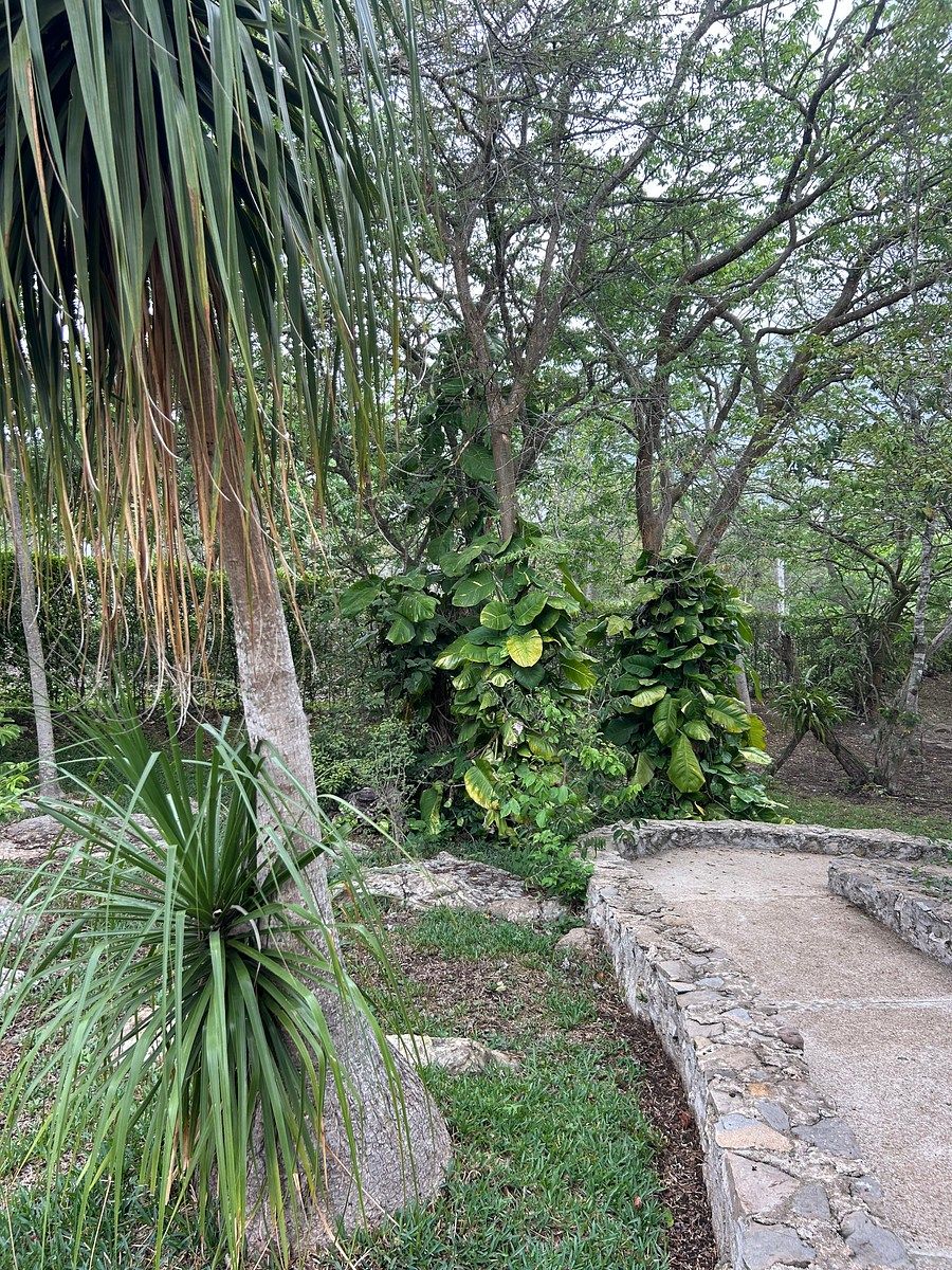 Casa em San Jacinto, Tuxtla Gutiérrez, foto 4 de 28
