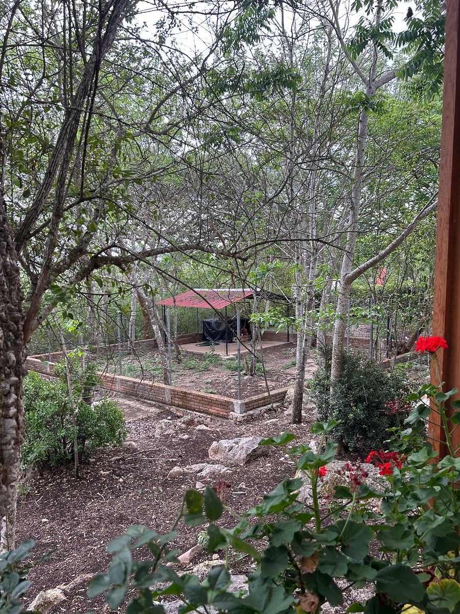 Casa em San Jacinto, Tuxtla Gutiérrez, foto 6 de 28