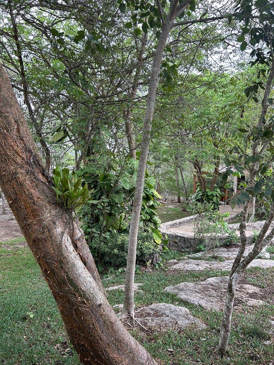 Casa em San Jacinto, Tuxtla Gutiérrez, foto 27 de 28