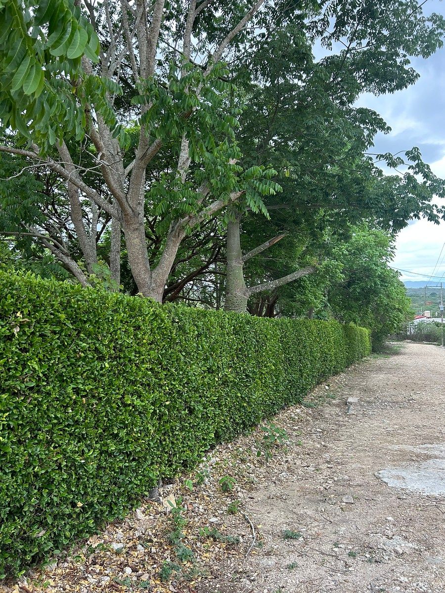 Casa em San Joaquín, Ocozocoautla de Espinosa, foto 6 de 26