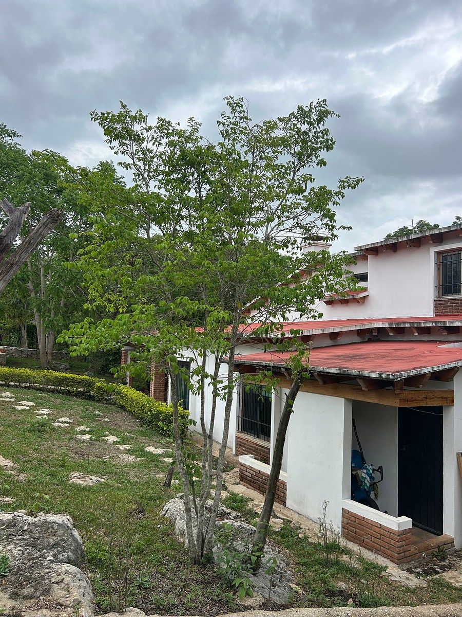 Casa em San Joaquín, Ocozocoautla de Espinosa, foto 2 de 26