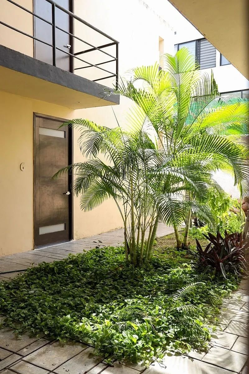 Renta de Departamento sodzil Norte, foto 1 de 17