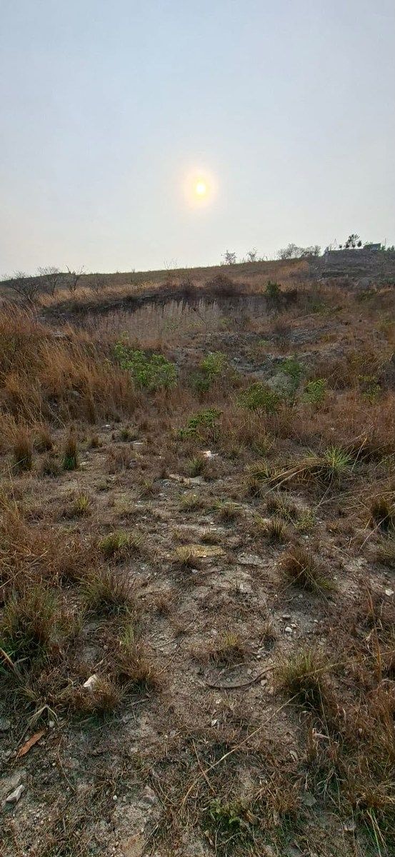 TERRENO EN PLAN DE AYALA AMPLIACION NORTE, foto 1 de 7
