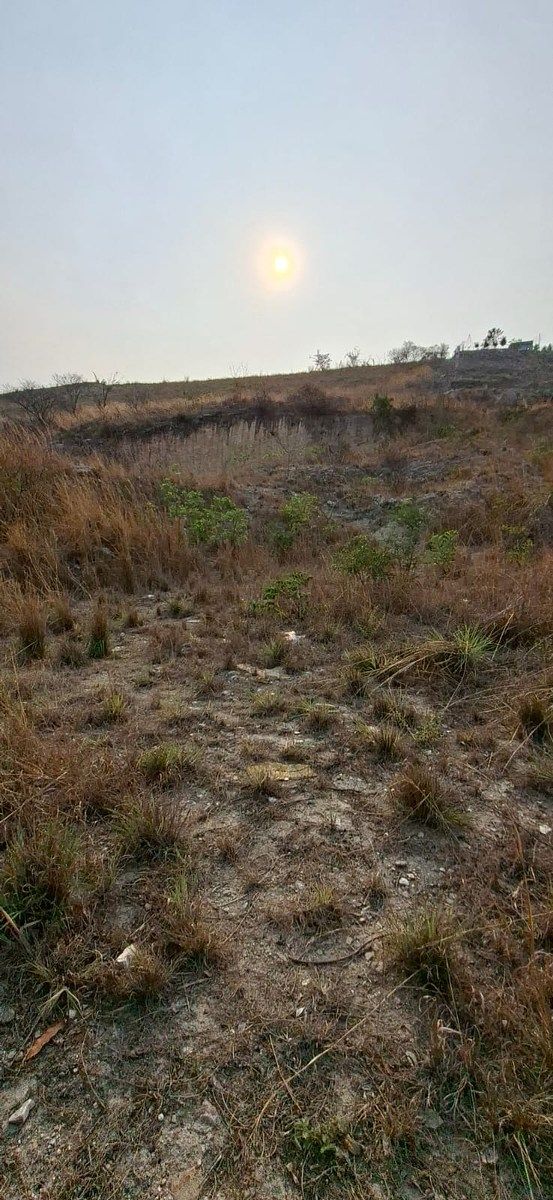 Terreno en Plan de Ayala, Tuxtla Gutiérrez, foto 6 de 7