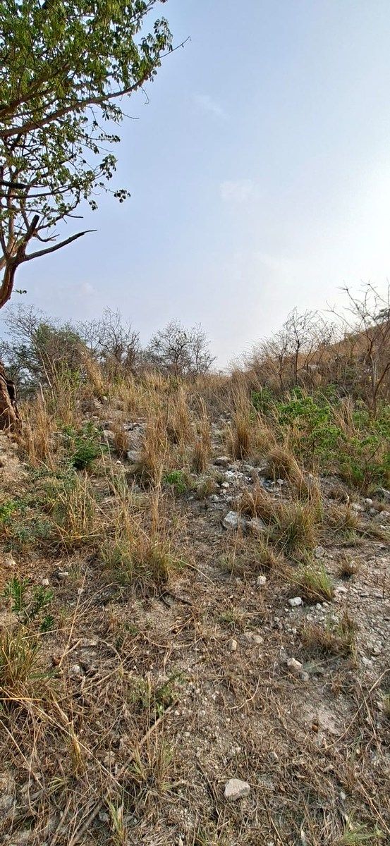 Terreno en Plan de Ayala, Tuxtla Gutiérrez, foto 7 de 7