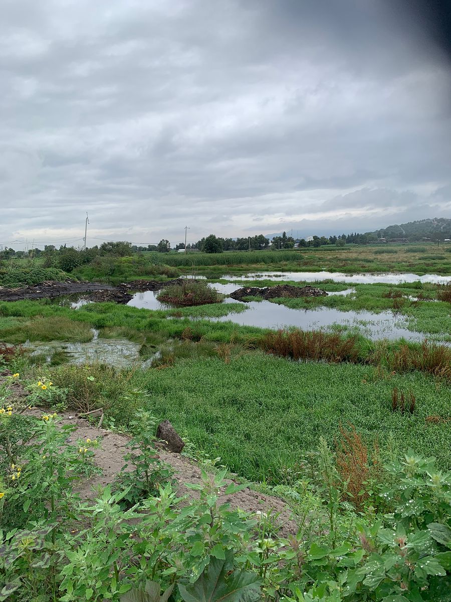 Terreno en Tenopalco, Melchor Ocampo, foto 3 de 11