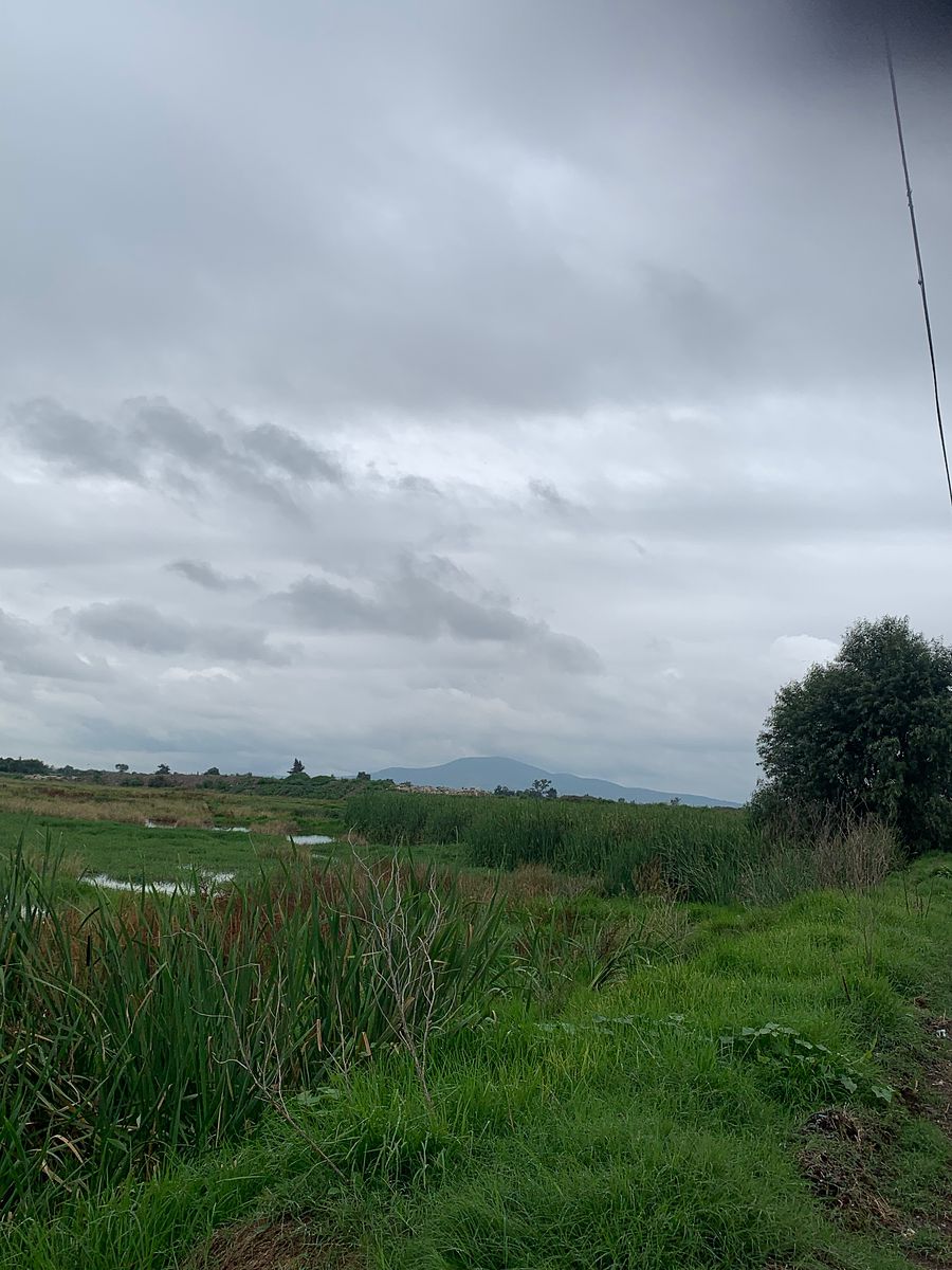 Terreno en Tenopalco, Melchor Ocampo, foto 10 de 11