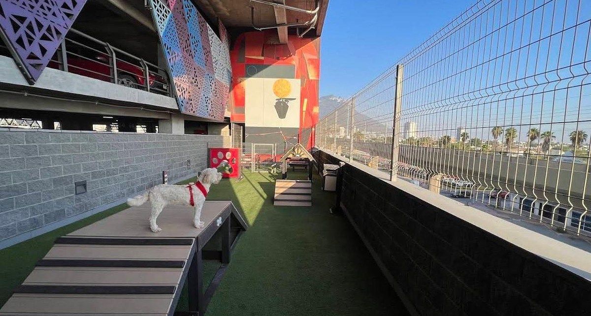 Pet Park, foto 12 de 24