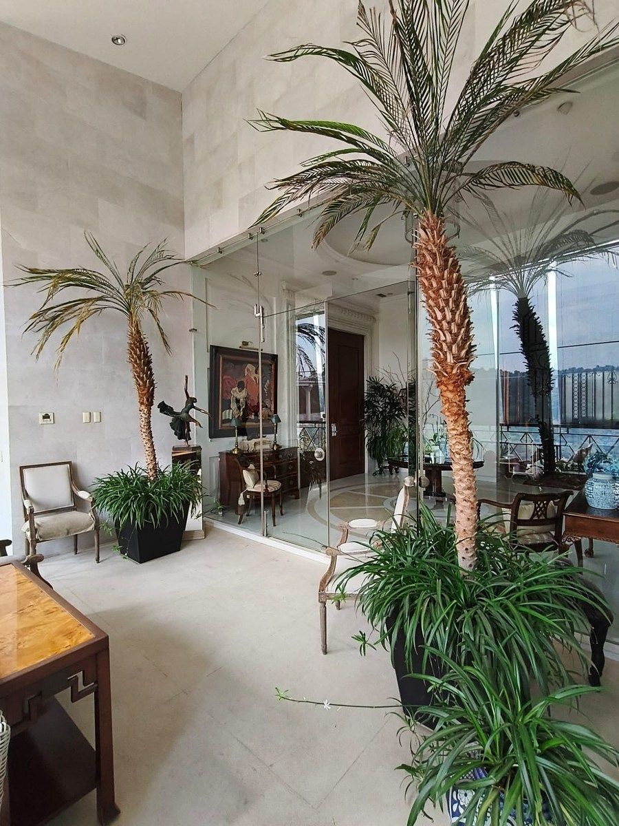 Apartamento em San Mateo Tlaltenango, Cuajimalpa de Morelos, foto 7 de 35