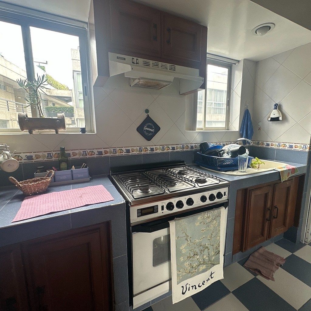 Departamento en El Cuernito, Álvaro Obregón, foto 38 de 45