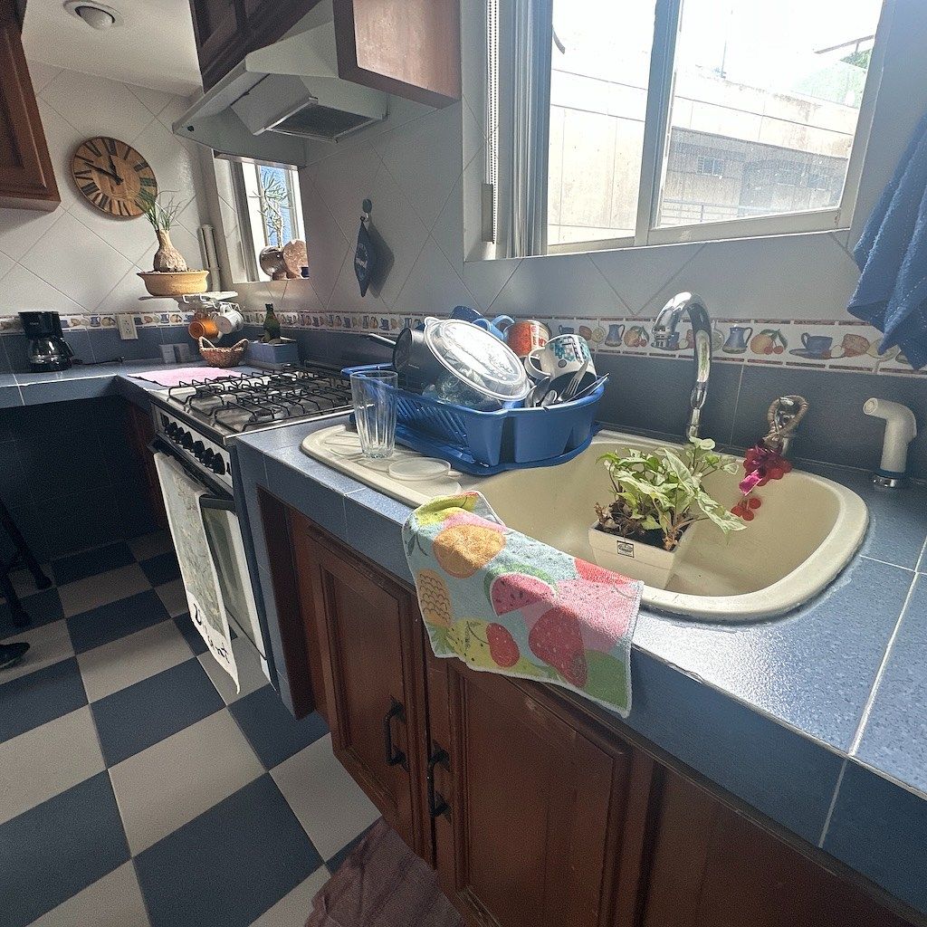 Departamento en El Cuernito, Álvaro Obregón, foto 39 de 45