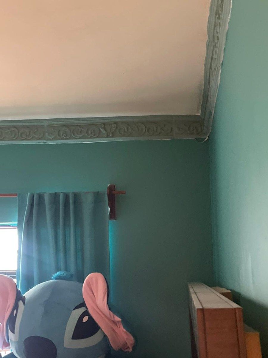 Casa em Cuerámaro Centro, Cuerámaro, foto 20 de 29