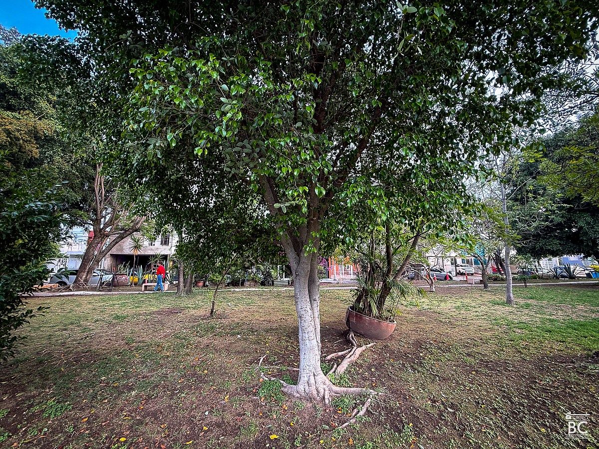 Casa em condomínio fechado em Plaza Guadalupe, Zapopan, foto 18 de 20