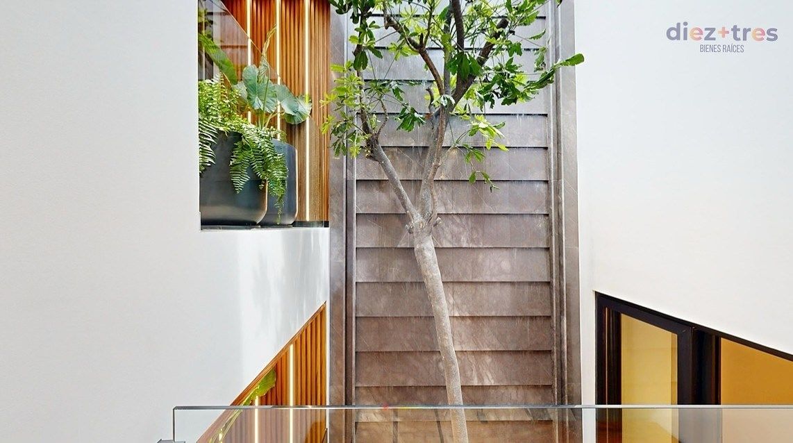 Casa em Parque del Pedregal, Tlalpan, foto 7 de 18