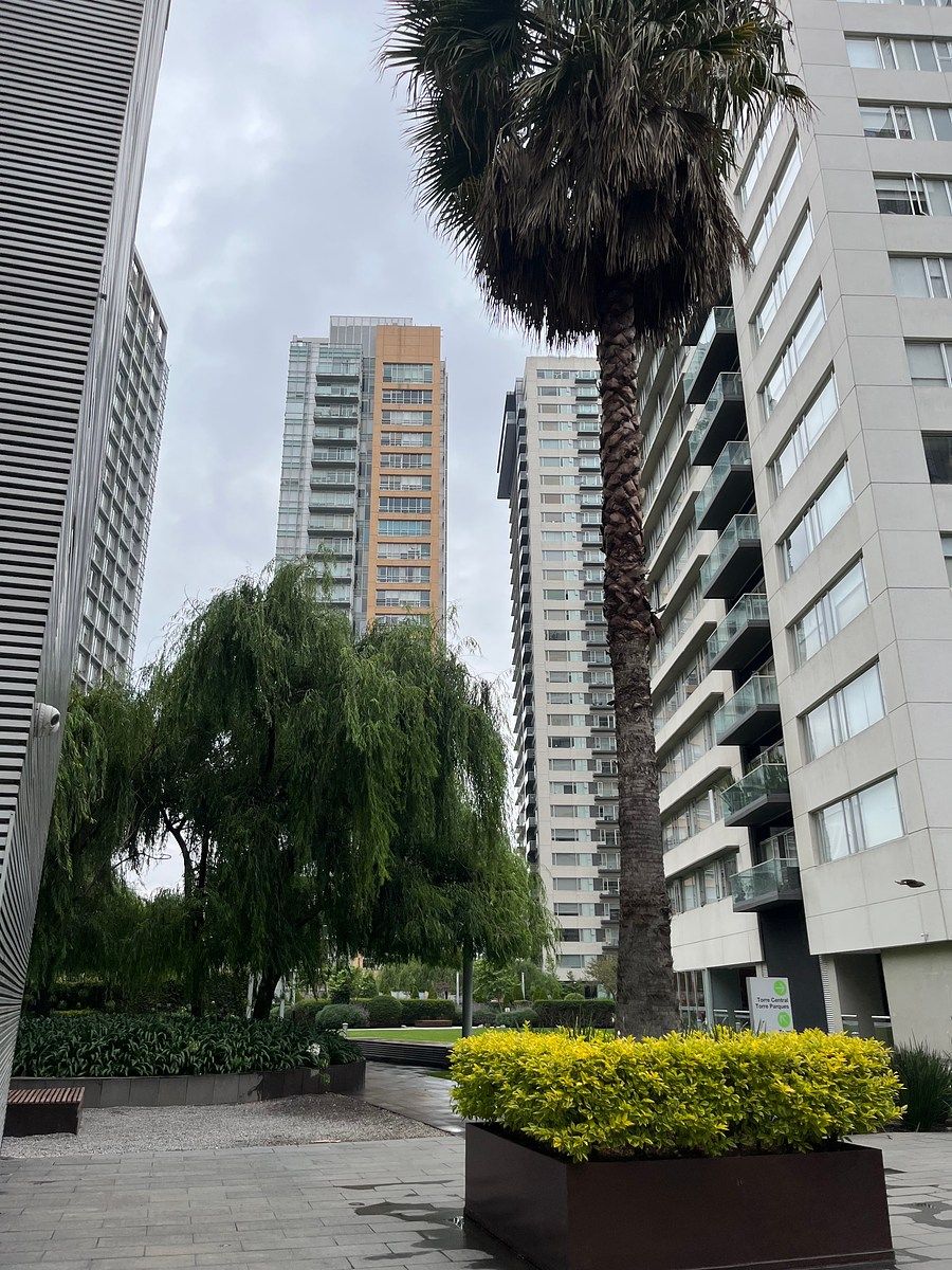 Apartment in Anáhuac I Sección, Miguel Hidalgo, photo 16 of 22