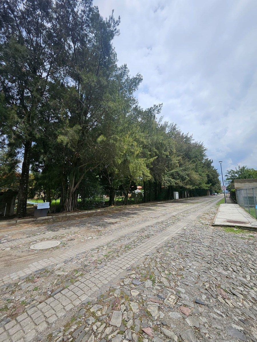 Casa en Arauca II, Zapopan, foto 25 de 39