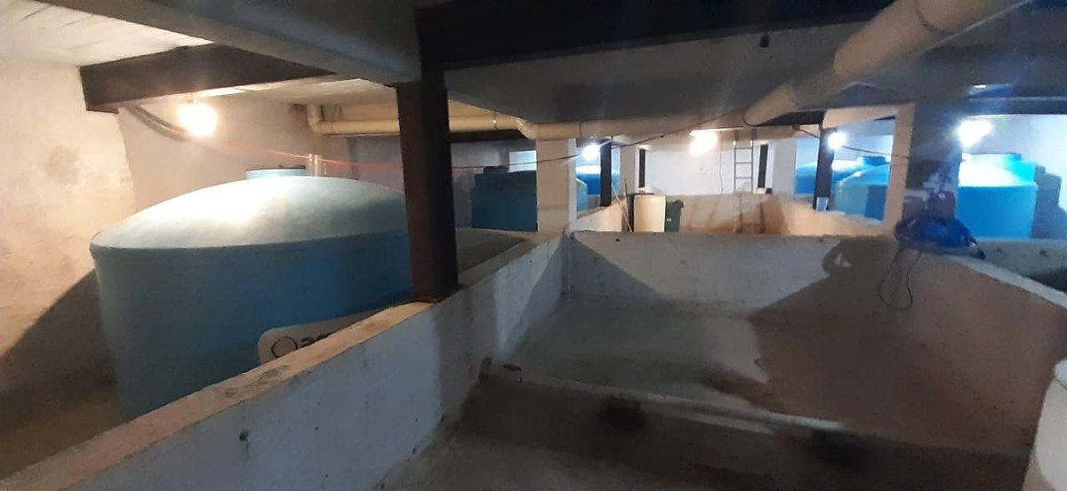 Bodega en VENTA en San Bartolo El Chico, Xochimilco, foto 1 de 15