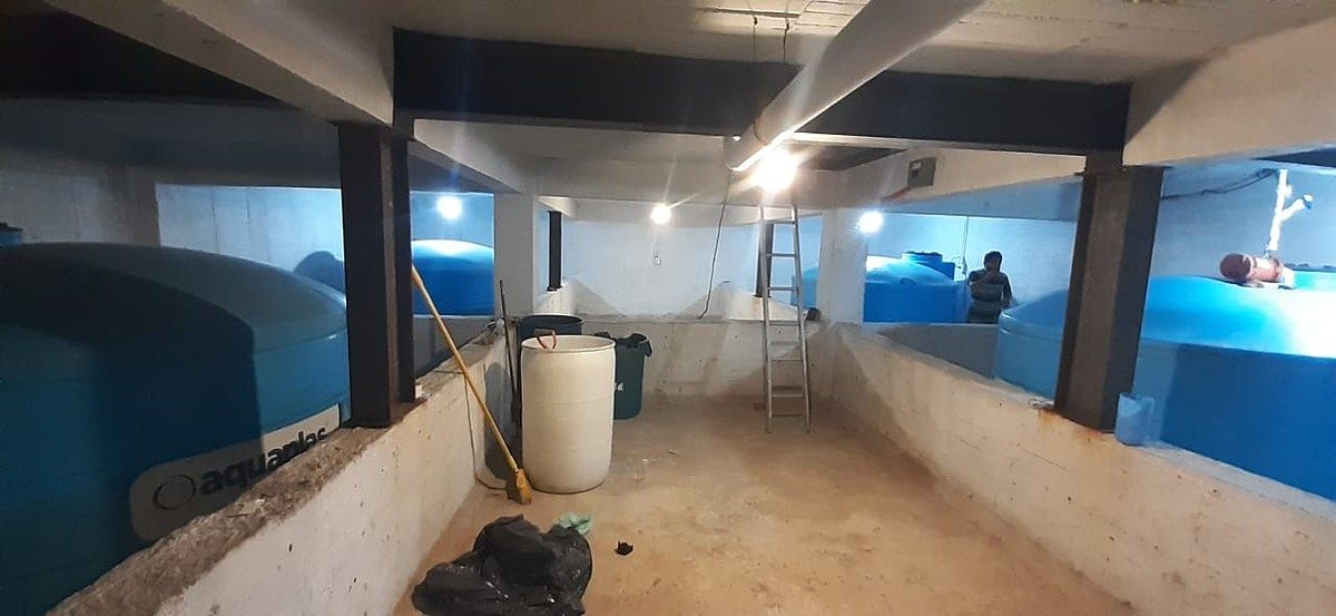 Bodega comercial en San Bartolo El Chico, Xochimilco, foto 4 de 15