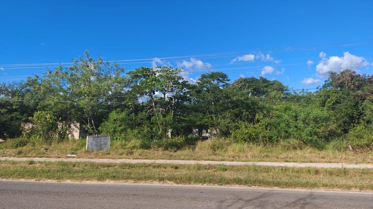 Ucú, 130 Ml sobre carretera, foto 1 de 5
