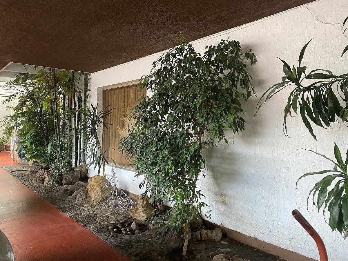 Casa em Ciudad Del Sol, Zapopan, foto 11 de 31