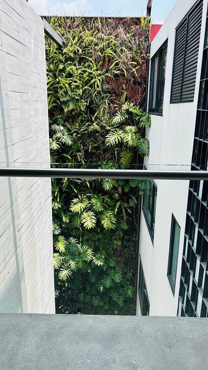 Apartment in Polanco II Sección, Miguel Hidalgo, photo 5 of 13