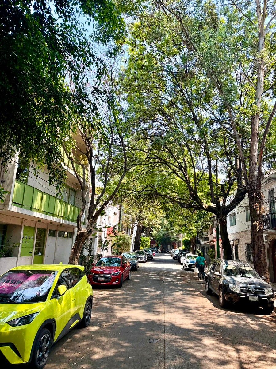 Departamento en Colonia Condesa, Cuauhtémoc, foto 36 de 37