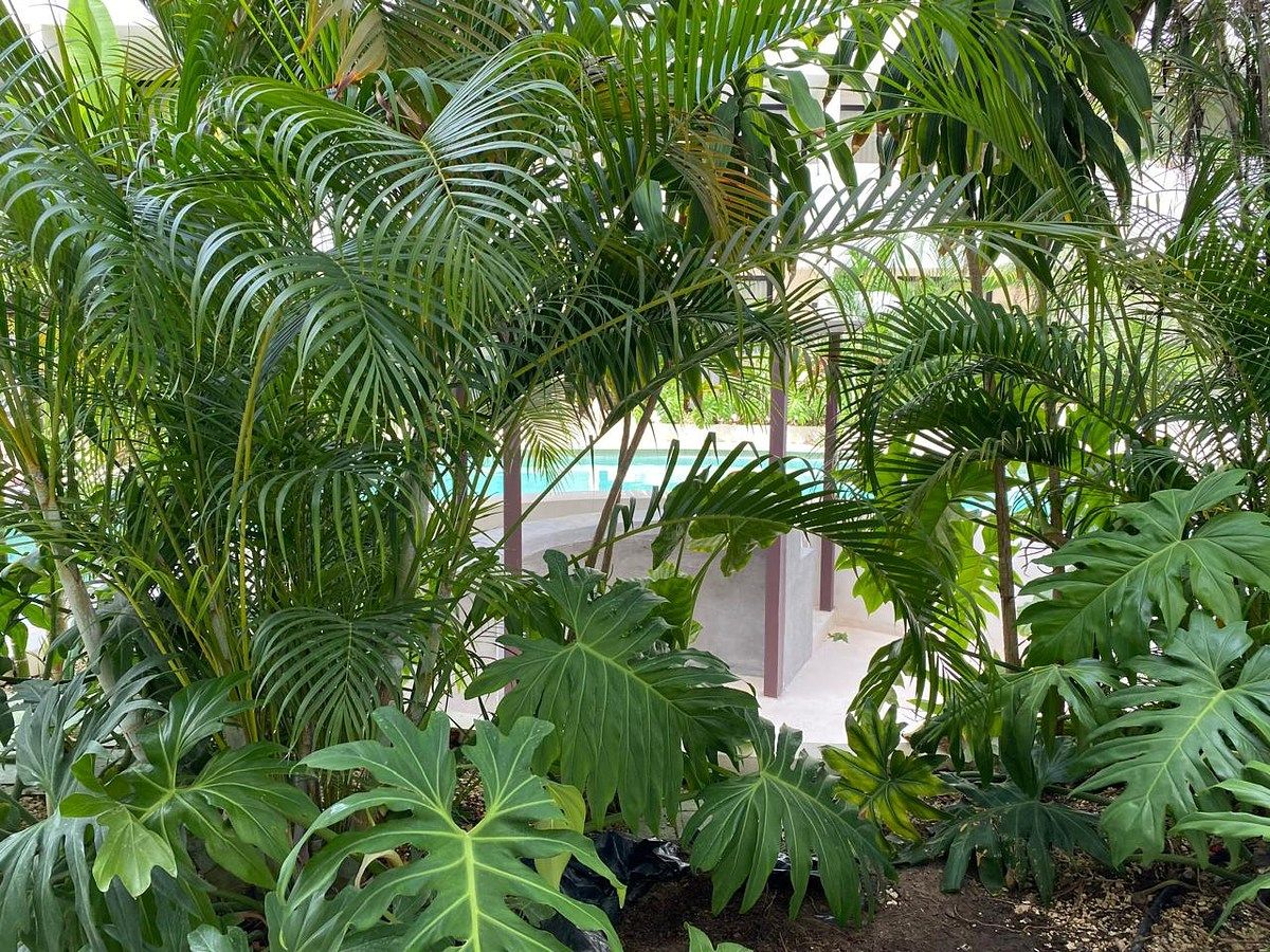 Apartment in La Veleta, Tulum, photo 2 of 17